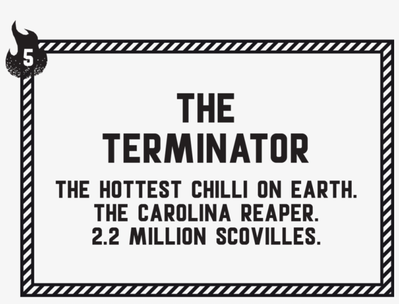 The Terminator, transparent png