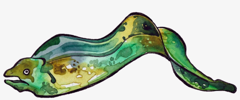 An Eel Sprite - Illustration, transparent png