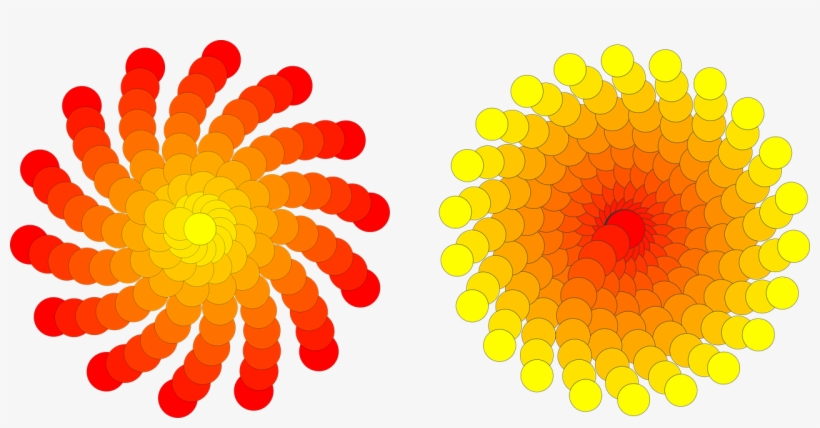 Circles Sol Flowers - Geometry, transparent png