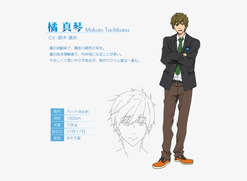 Enter Image Description Here - Makoto Tachibana Character Sheet, transparent png
