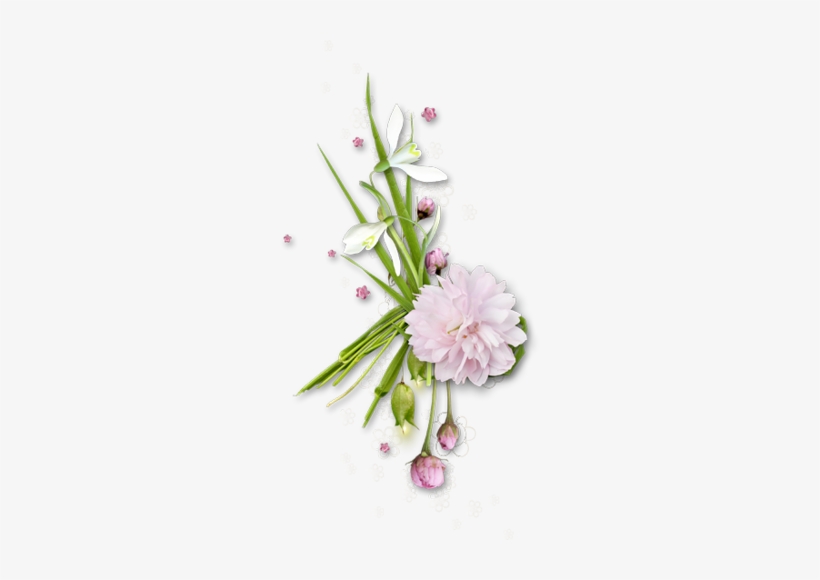 Pink Plant, Pink Backgrounds, Picture Frames, Flowers, - Flower, transparent png