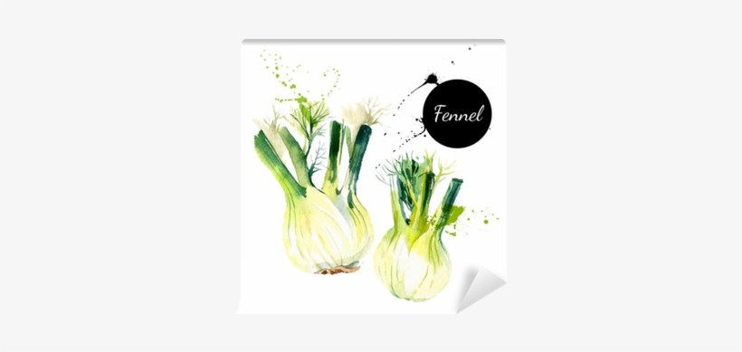 Kitchen Herbs And Spices Banner - Fenchel Gezeichnet, transparent png