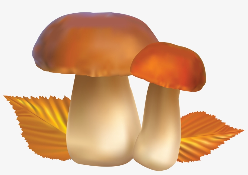 Clipart Food Mushroom - Гриб Пнг, transparent png