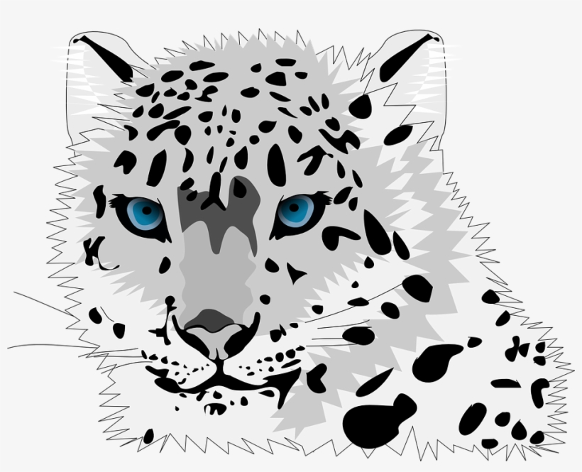 Animal Cat Leopard Snow Leopard Wild Cat C - Cartoon Snow Leopard Face, transparent png
