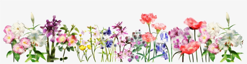 Flowers For A Banner Group Image Free Download - Guide To Mr. Shakespeare's Flowres, transparent png