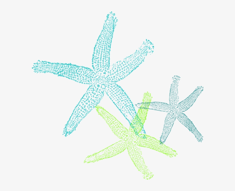 How To Set Use Turquoise Green Starfish Clipart, transparent png