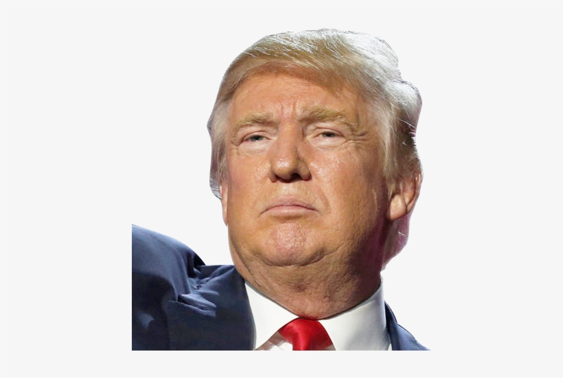 Polling Respondents Chose Character Traits Which Best - Most Asian Person Ever, transparent png