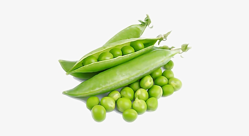 Peas Drawing Family - Green Peas, transparent png