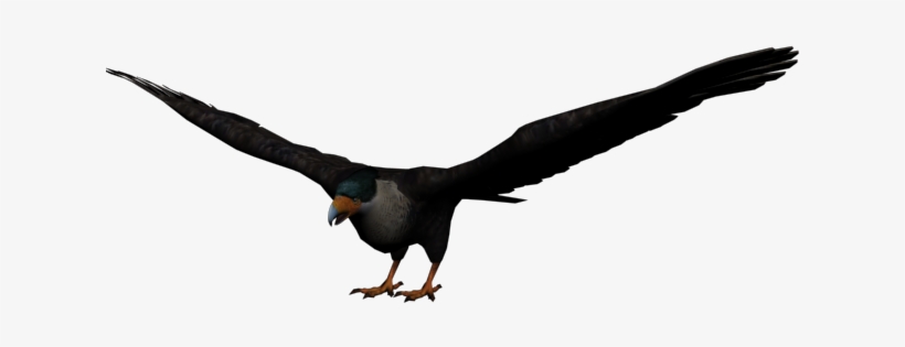 Eagle - Aguila Png, transparent png