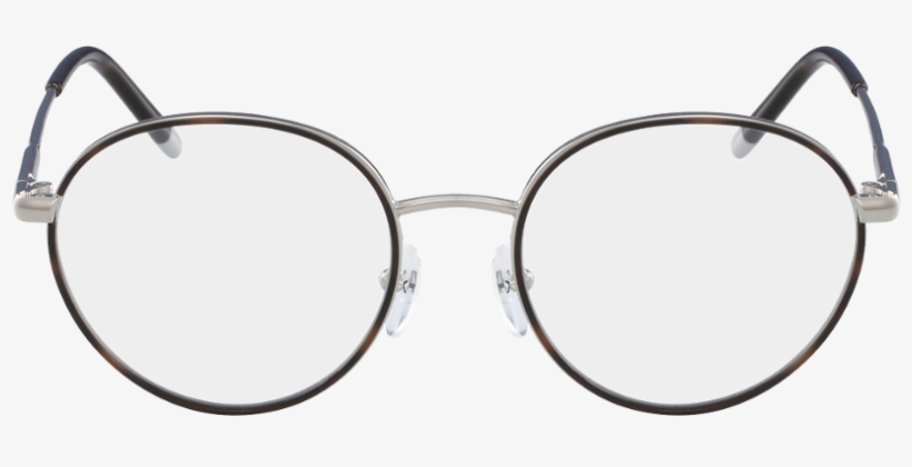 Ck5449 - Peach Tortoise Ck18107 Frames, transparent png