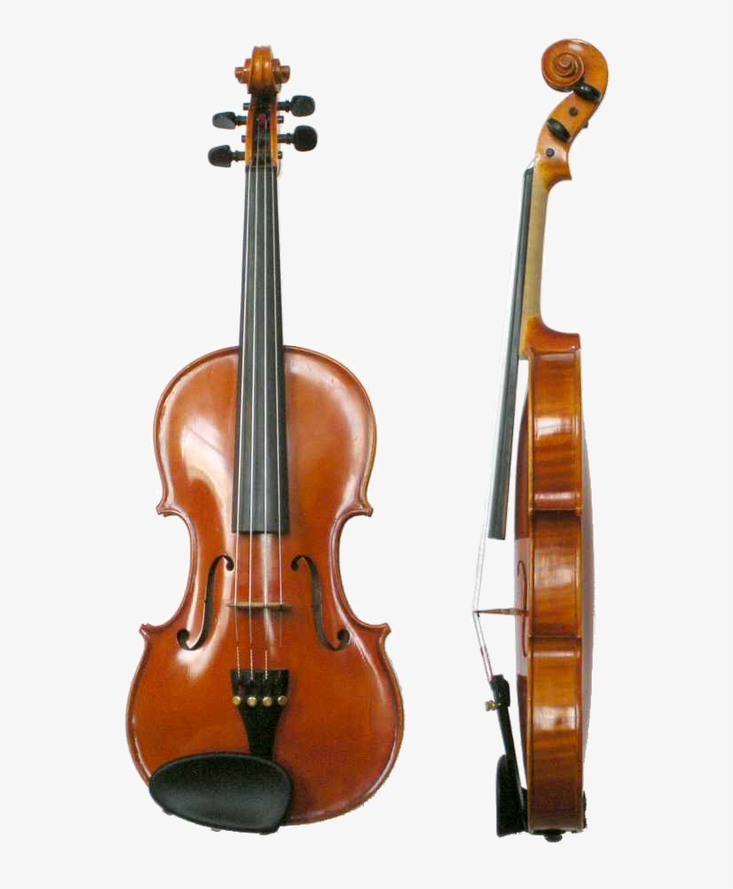 Example Of String Instrument 700x951 PNG Download PNGkit