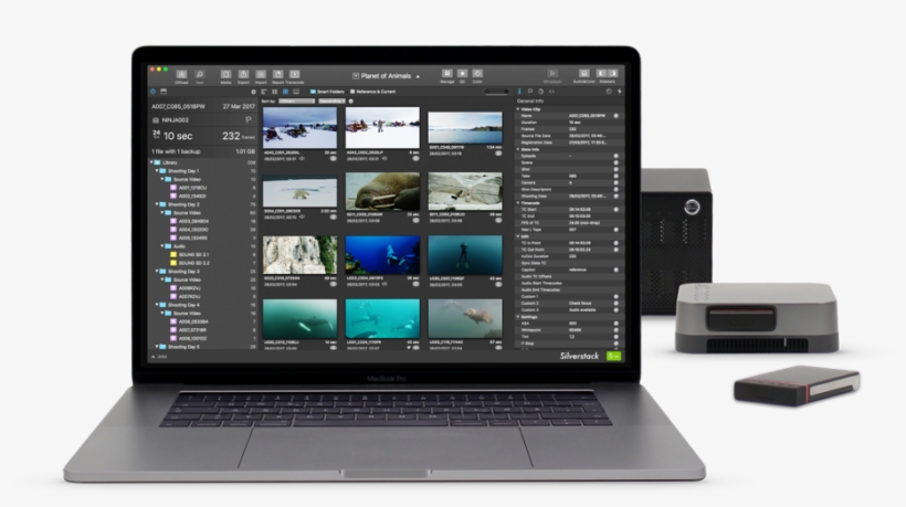 Stage Image - Beijing, transparent png