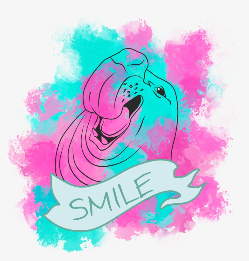 More Information - Elephant Seal, transparent png