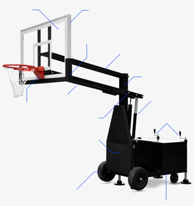 Discover More About Bear - Backboard, transparent png