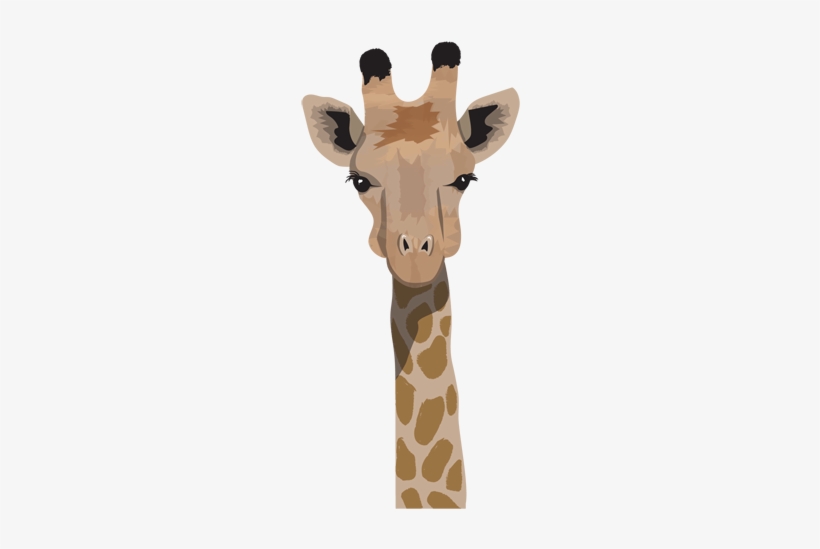 Giraffe, transparent png