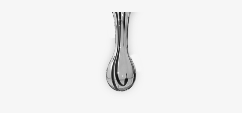 Vase, transparent png