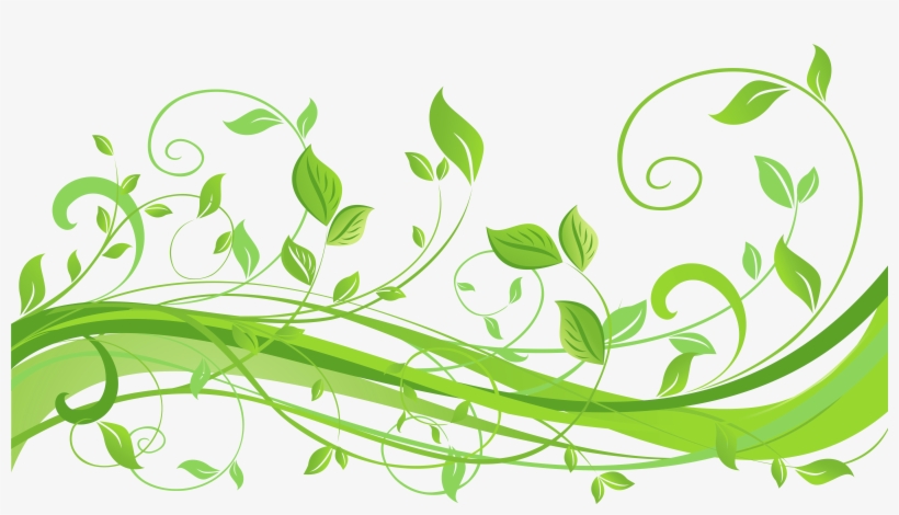 Vector Black And White Spring Decoration With Leaves, transparent png