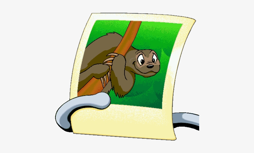 Sloth Picture - Hippopotamus, transparent png