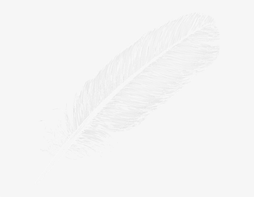 Flying Feathers Png - Logo Feather Png White, transparent png