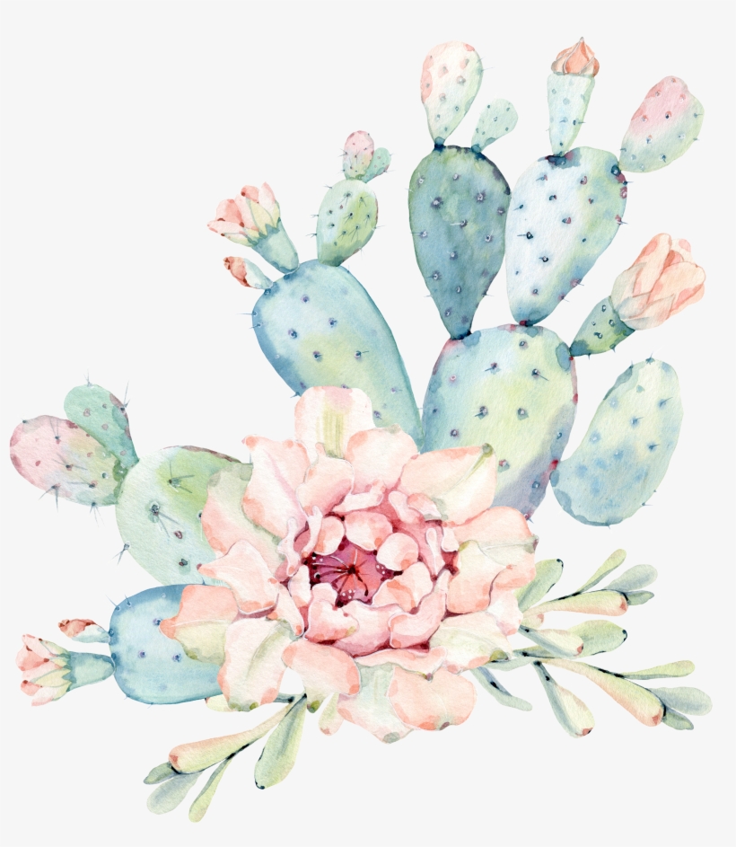 Cactaceae Watercolor Painting Succulent Plant Euclidean, transparent png