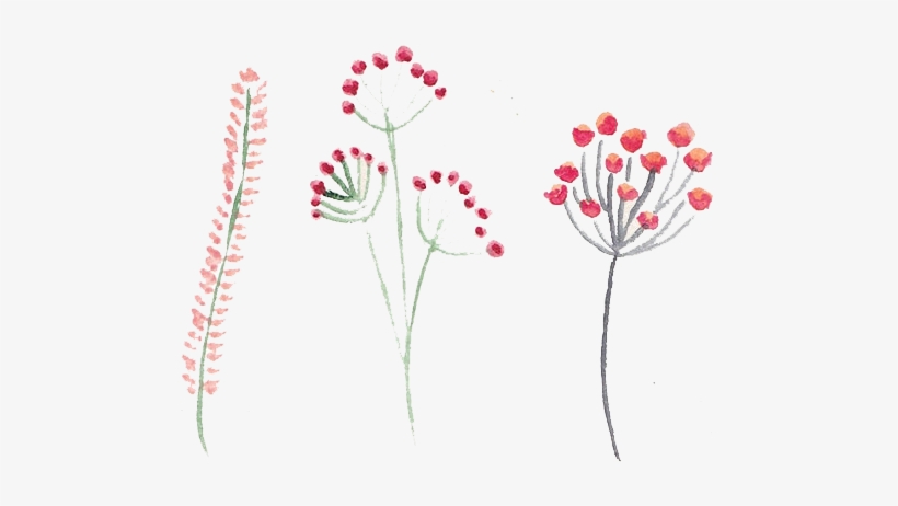 Free Background With Watercolors And Flowers Download - Watercolor Painting, transparent png