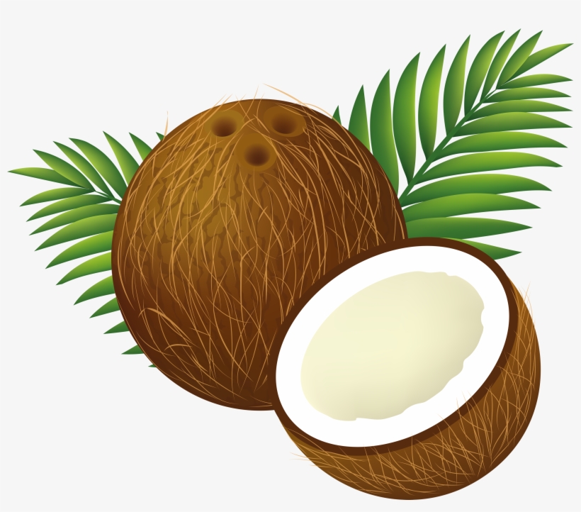 Coconut Clipart Png, transparent png