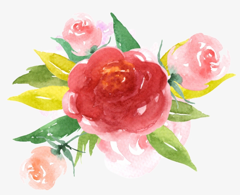 Hand Painted Red Rendering Flower Png Transparent - My Big Fat Bullet Journal For Animal Lovers Lamb In, transparent png