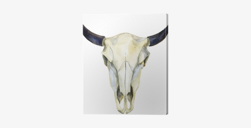 Woman Holding A Buffalo Skull, transparent png