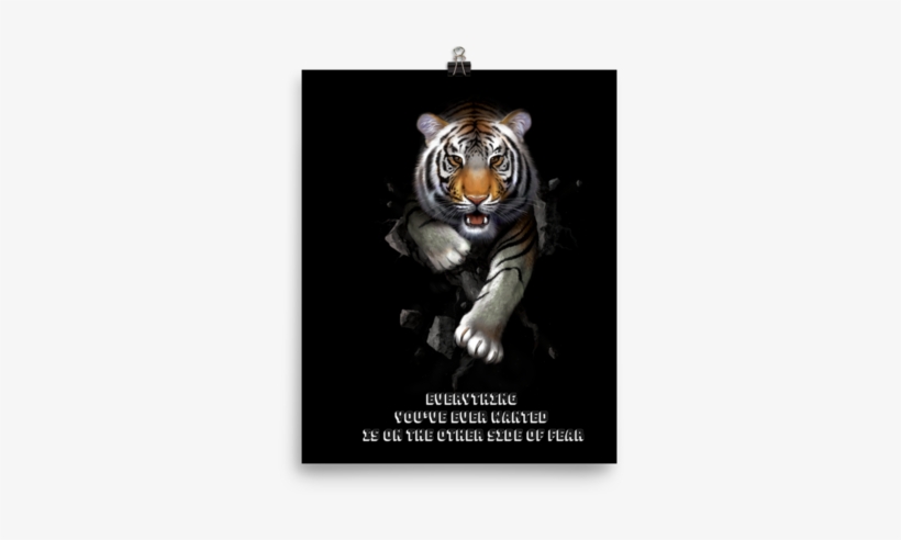 The Mountain Tiger Stalk Wall Art Illustration - Illustration, transparent png
