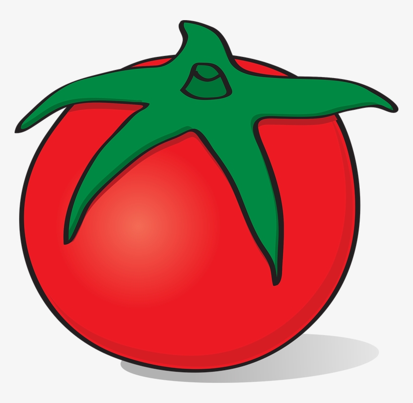 Tomato Vegetables Fruit - Png รูป ผัก ผล ไม้, transparent png