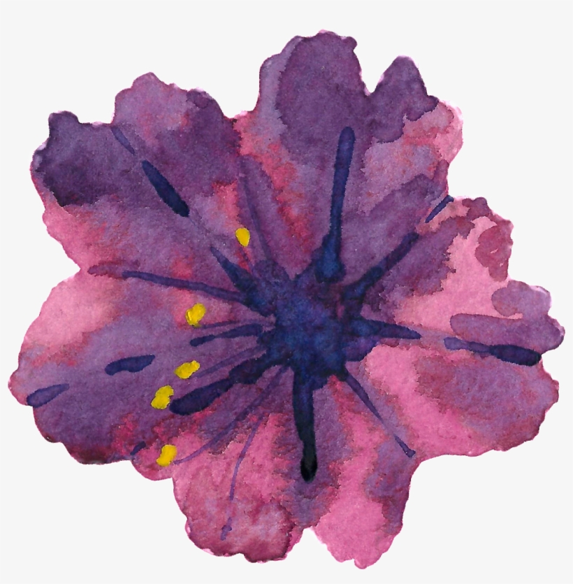 Este Gráficos Es Pintado A Mano De Purple Hibiscus - Portable Network Graphics, transparent png