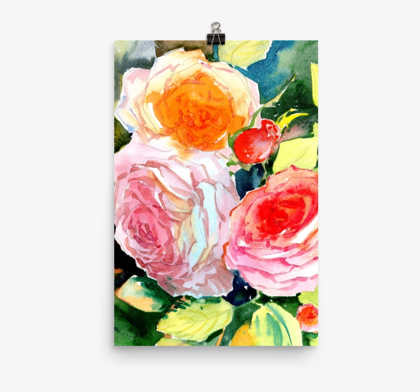 Bright And Floral Rose Watercolour Print Matte Poster - Watercolor Painting, transparent png