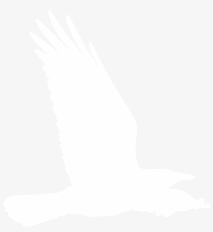 54383e78a869fda429f6a16e Logo Crow 2 - Accipitridae, transparent png