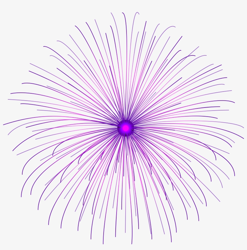 Fireworks Vector Purple, transparent png