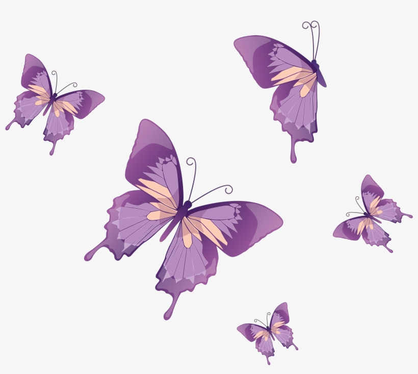 Pink Butterfly Vector Png - Floral Flower Wall Mural 39, transparent png