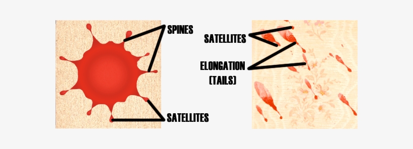 This Image For Decorative Purposes Only - Satellites Blood Pattern Analysis, transparent png