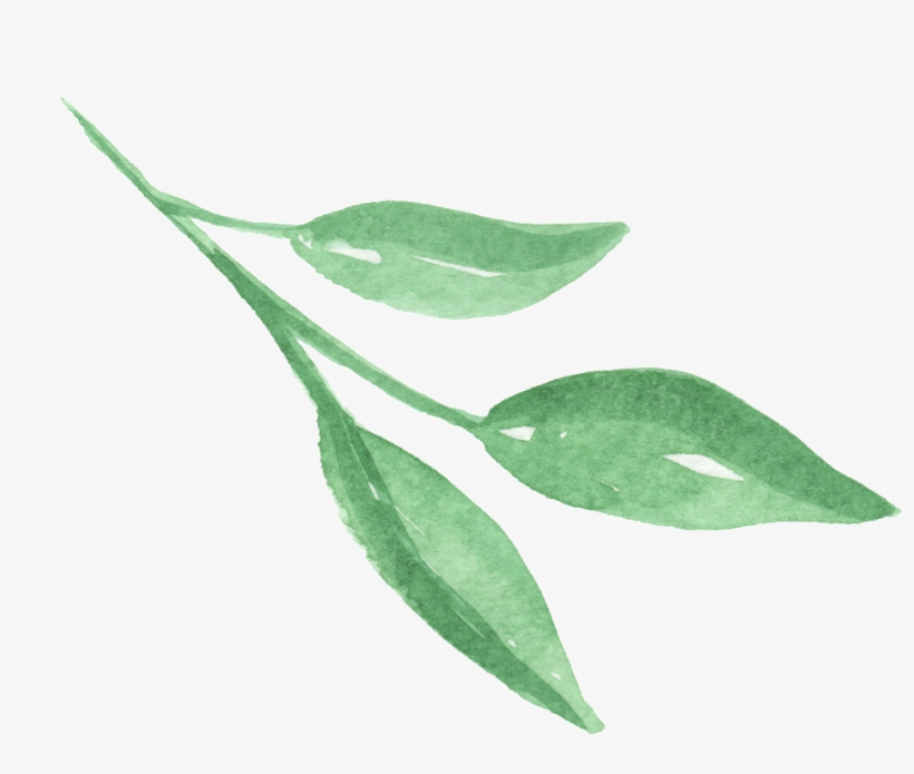 Three Pieces Of Bright Green Leaves Transparent Png - Leaf, transparent png