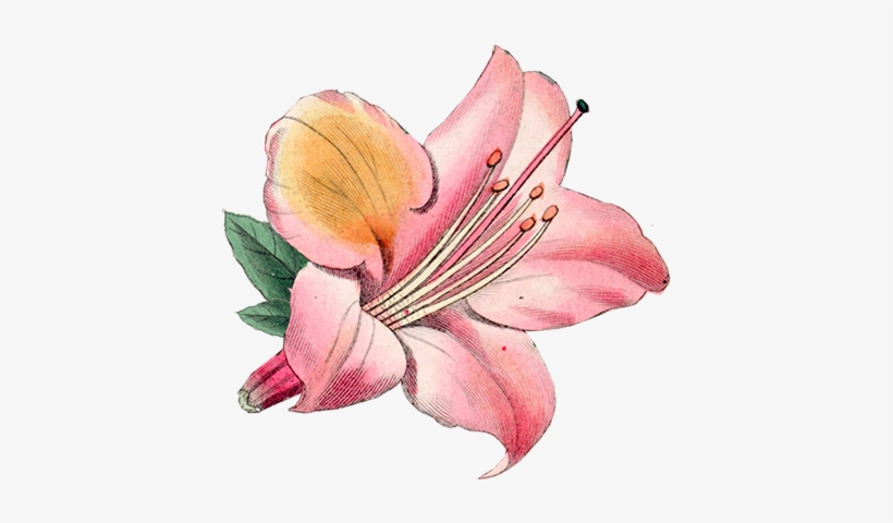 Download Transparent Chapter Vi - “ - Par S - PNGkit