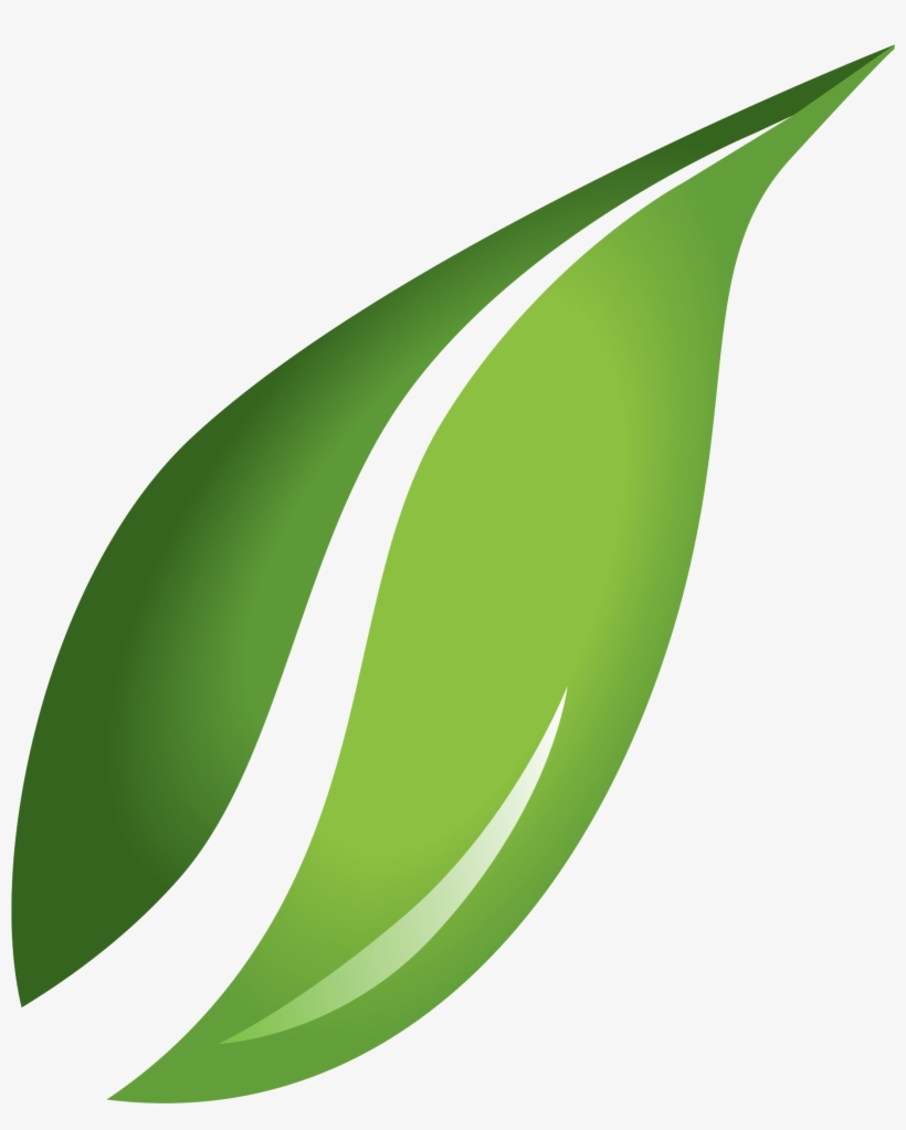 Free Icons Png - Transparent Background Clipart Of Leaves, transparent png
