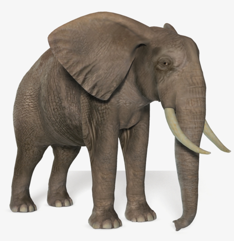 Elephant Png Picture - Elephant Png Hd, transparent png