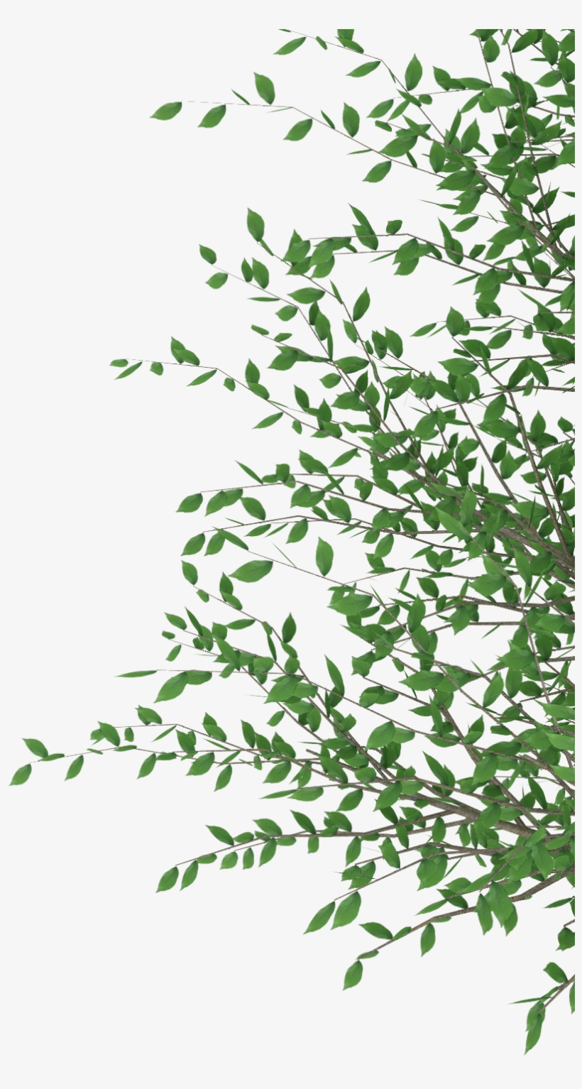 Cut Out Photoshop - Adobe Photoshop, transparent png
