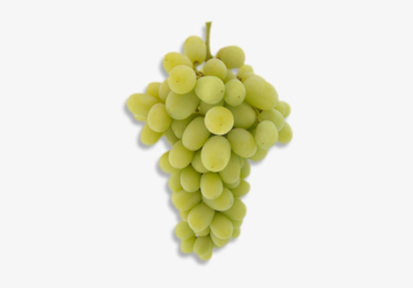 Green Grapes Png Pic - Grape, transparent png