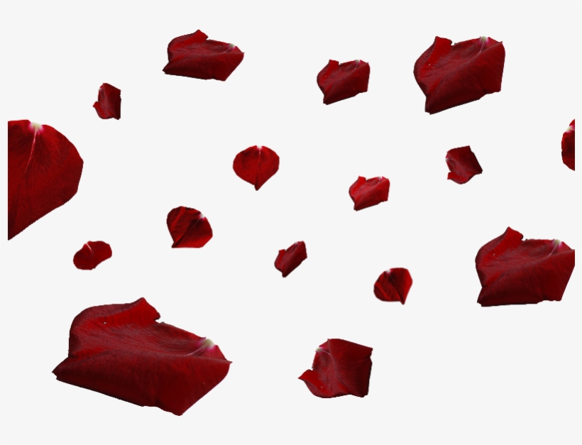 Red Rose Petals Png, transparent png