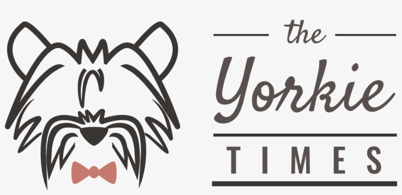 The Yorkie Times - New 10 Day Green Smoothie Cleanse Diet: Lose Easily10, transparent png