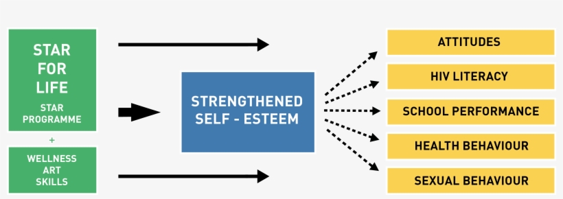 Star For Life Program Big English New Original - Graphic Design, transparent png