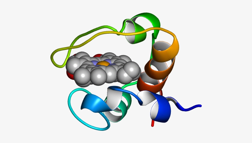 Database Information - Illustration, transparent png