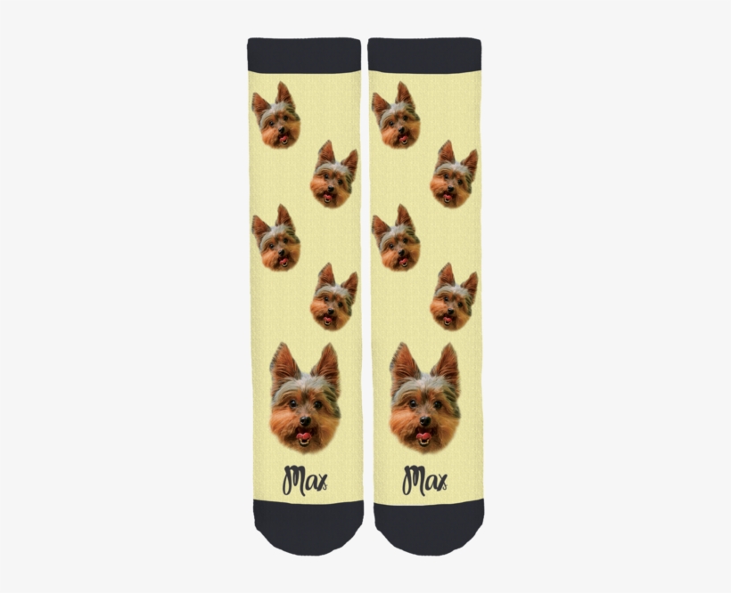 Yorkie Max Crew Socks - Yorkshire Terrier, transparent png