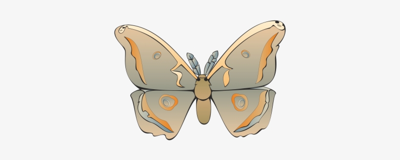 Commercial Use Flying Insects, Insect, Nature, Animal - Vector, transparent png