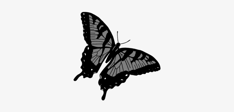 Commercial Use Flying Insects, Insect, Nature, Animal - Papilio Machaon, transparent png