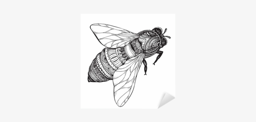 Hand Drawn Honey Bee In Zentangle Style - Black And White Bee Drawing, transparent png